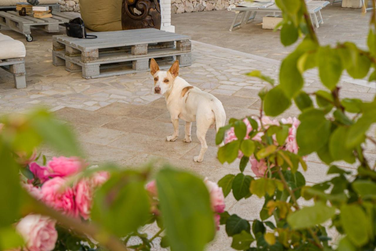 Borgo Canneto Rodi Garganico Luaran gambar